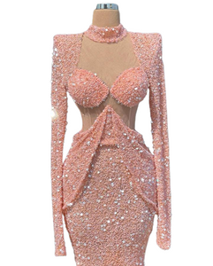 Princess Pink Mermaid Evening Dress