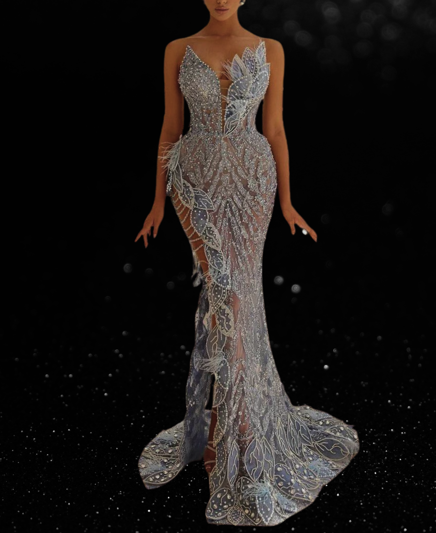 Couture Illusion Beading Women Long Celebrity Dresses