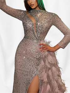 Luxury Feathered Long Sleeve Evening Dresses